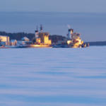 De senaste bilderna (fr�n jan 2012)