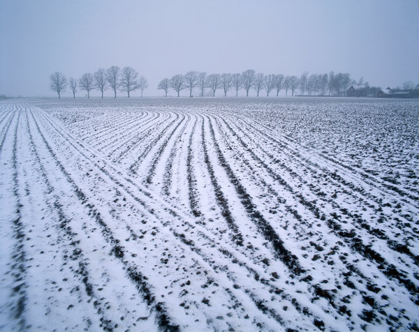 Vinterlandskapet i jordbruksbygd.