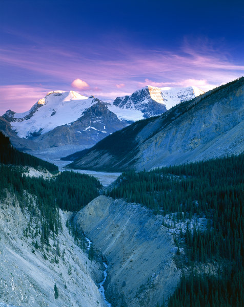 Bergslandskap vid Athabasca glaciren.