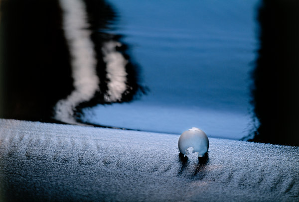 Eggshell. Reflection in water.