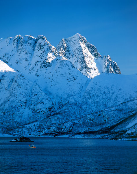 Fiskebt i fjord.