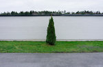 Designbilder