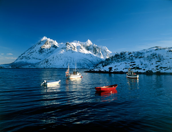 Fiskebtar i fjordlandskap.