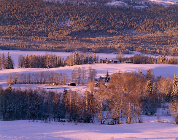 Vinterlandskap vid Kallsjn.