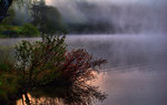 DSC_020799.jpg