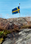 svenskflagga700.jpg
