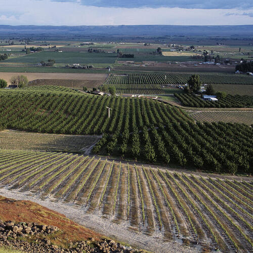 Washington State