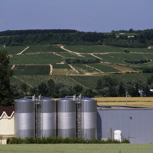 Chablis