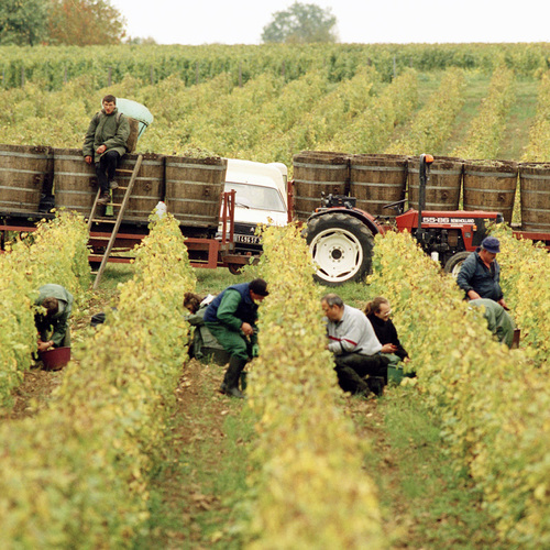 Vouvray