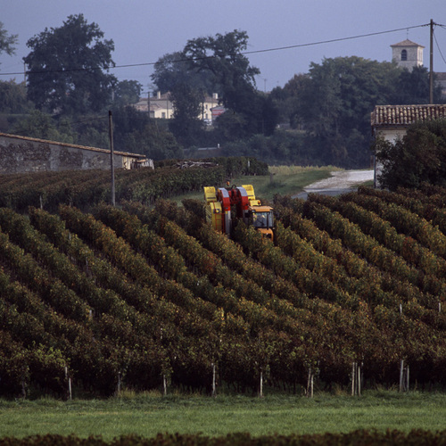 Fronsac