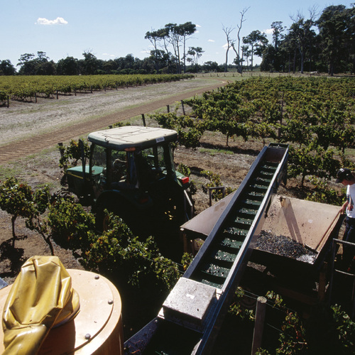 Leeuwin Estate