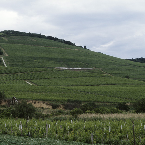 Tokaji