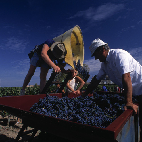 Pomerol