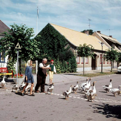 TORKEL LINDEBERGS SAMLING