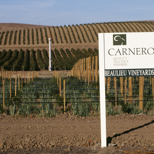 Carneros