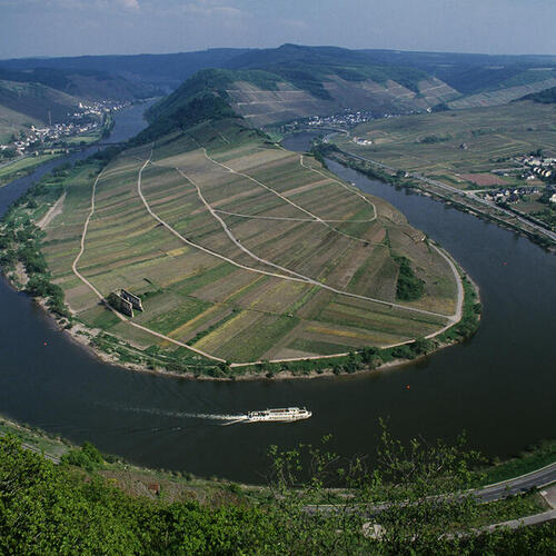 Mosel