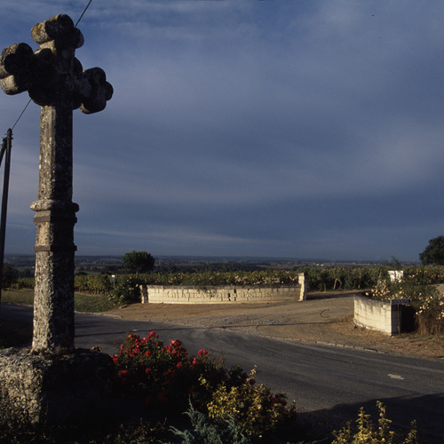 Chateau de Fesles