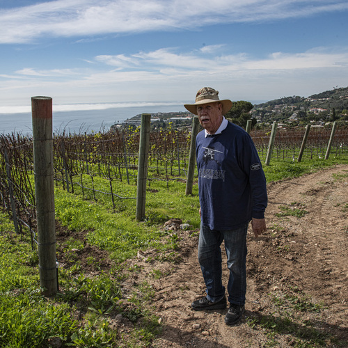 Palos Verdes