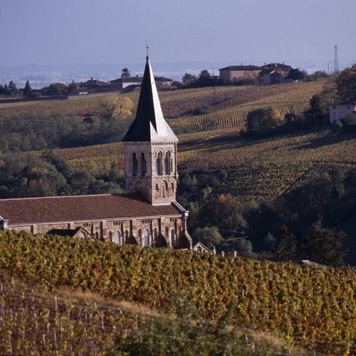 Beaujolais