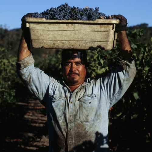 Mendocino