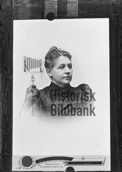 BAUMBACH, ANNA