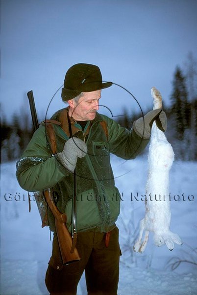 Harjakt