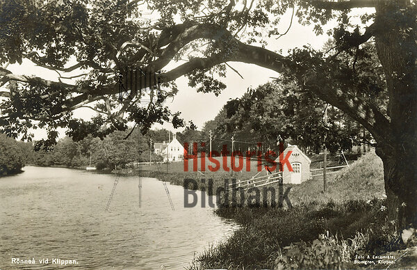 R�nne� vid Klippan.