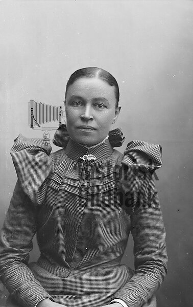 SVENSSON, ASSARINA