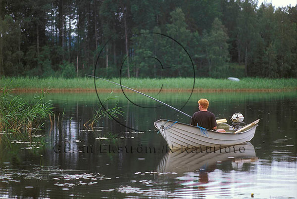 Fiske