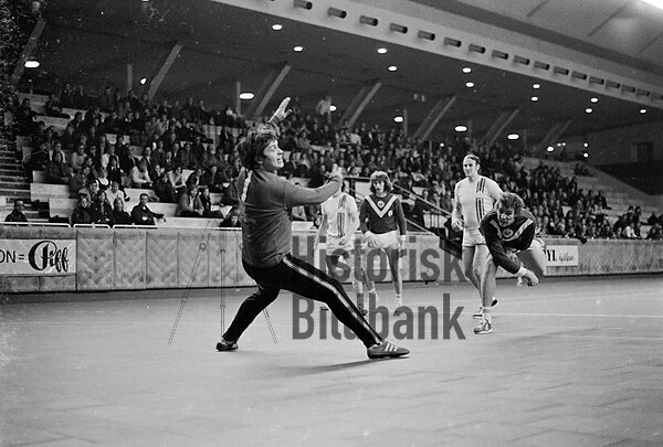 Handboll Vikingarna