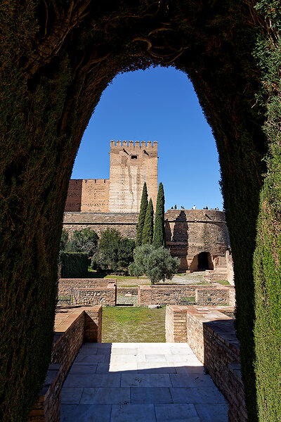 Trip to Andalucia Spain 2024