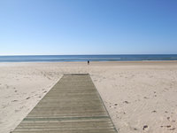 20070221_11280059.jp