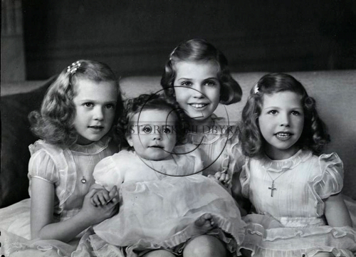 IBL Collections samling