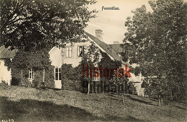 Forsm�llan.