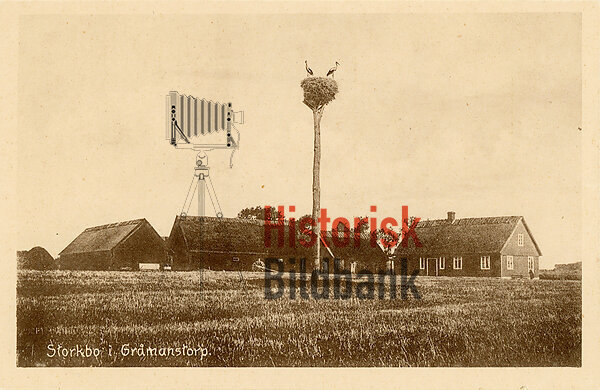 Storkbo i gr�manstorp.