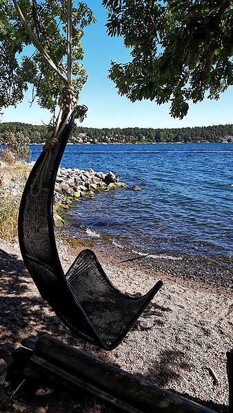 Rind� Harbor Vaxholm 2020