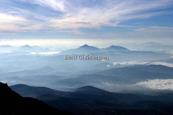 Tidig tropisk morgon