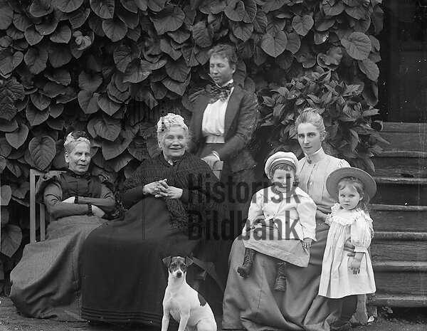 VON PLATEN - FAMILJ