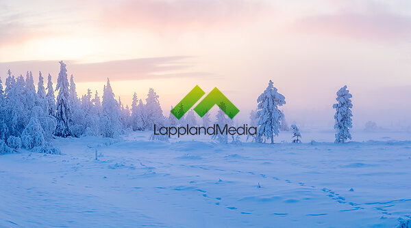Midvinterskog, Gällivare :Midwinter forest, Swedish Lapland