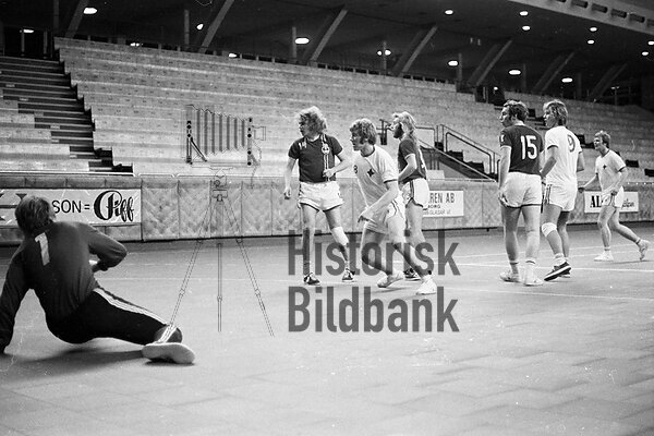 Handboll Vikingarna