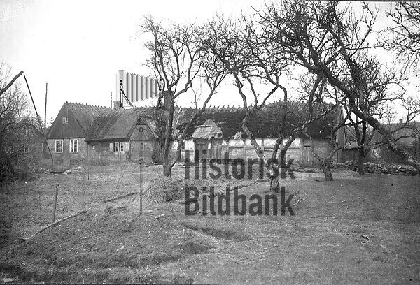 Norrsidan med brunn och frukttr�d. Fotograf ok�nd.