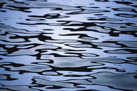 DE990718_12191269.jp