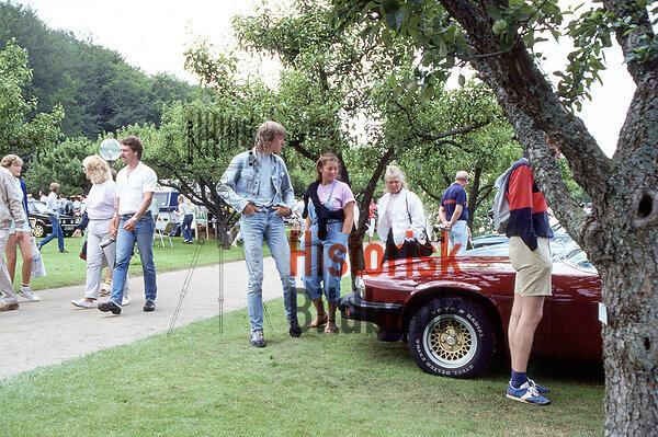 Classic car i B�stad