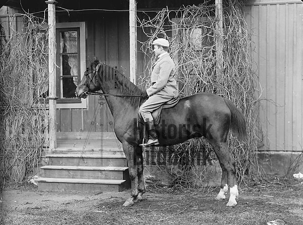 BUSCH,  TILL H�ST