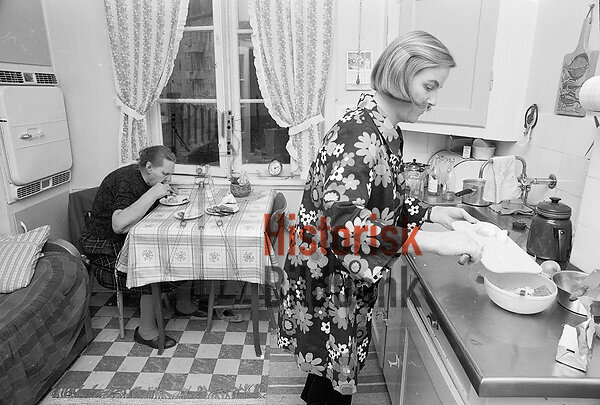 Hemsamarit i arbete