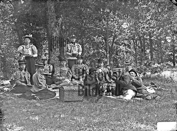 PICKNICK I GR�NGR�SET - SK�RALID