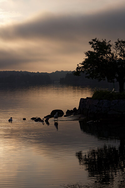 Sweden, Stockholm with Archipelago