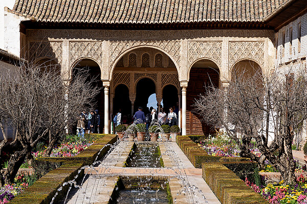 Trip to Andalucia Spain 2024