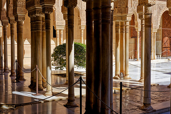 Trip to Andalucia Spain 2024