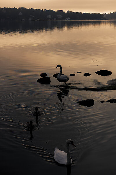 Sweden, Stockholm with Archipelago
